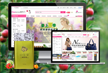 ���ҳ������̳�